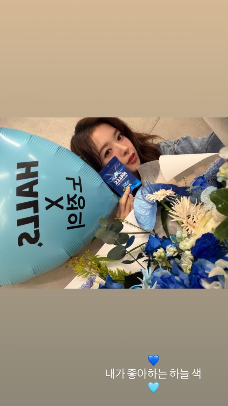 노정의 인별 호올스