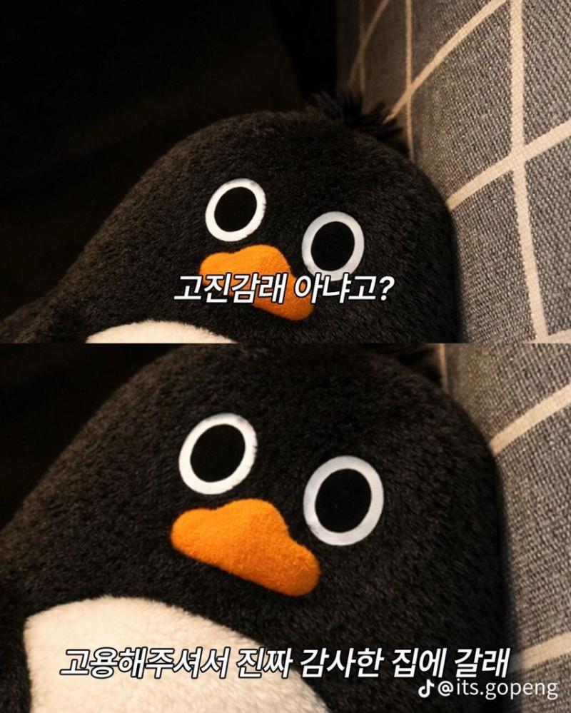 하츠투하츠 주은