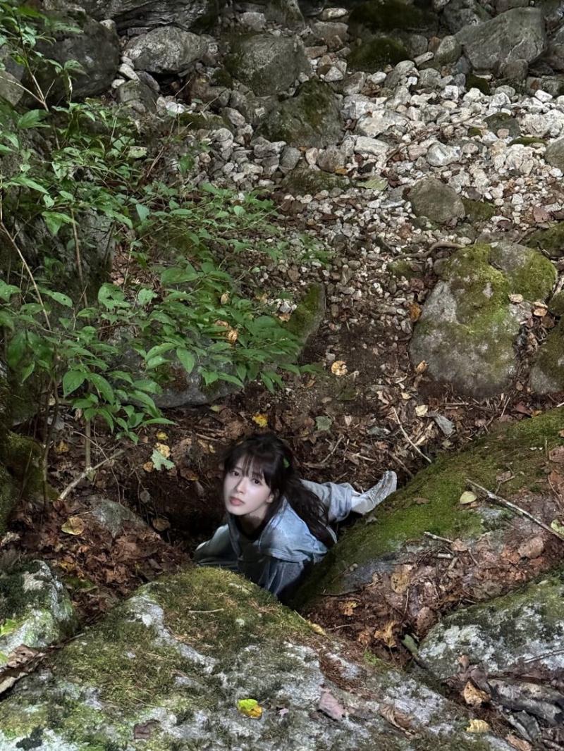 노정의