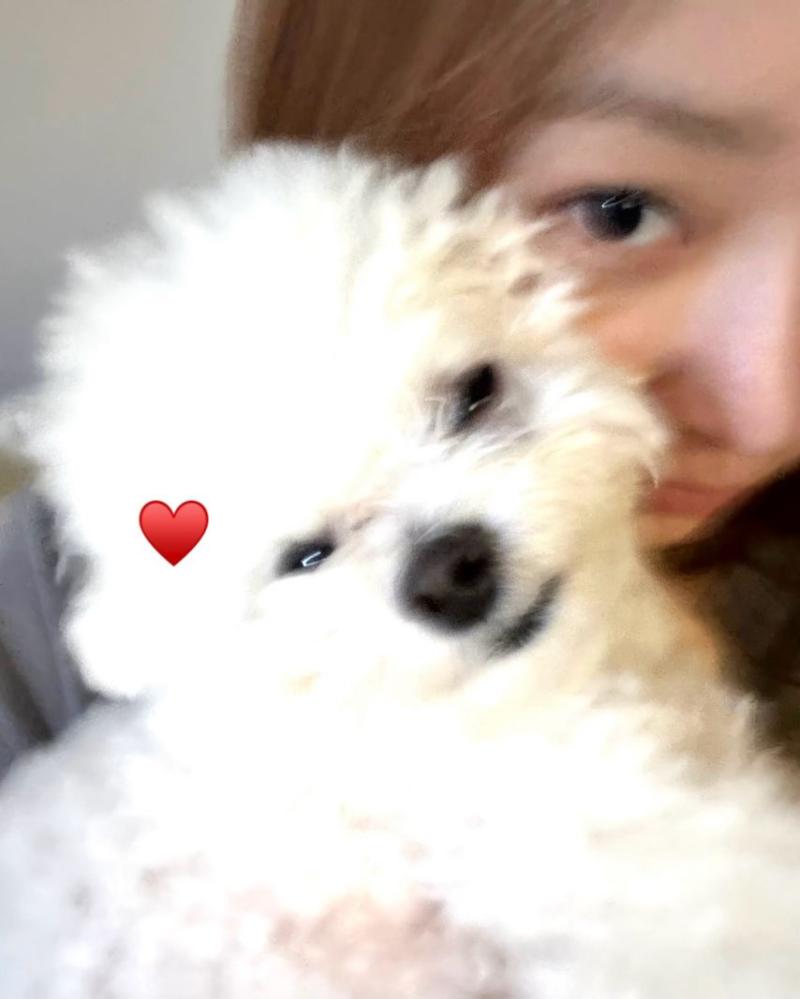 아이브 레이