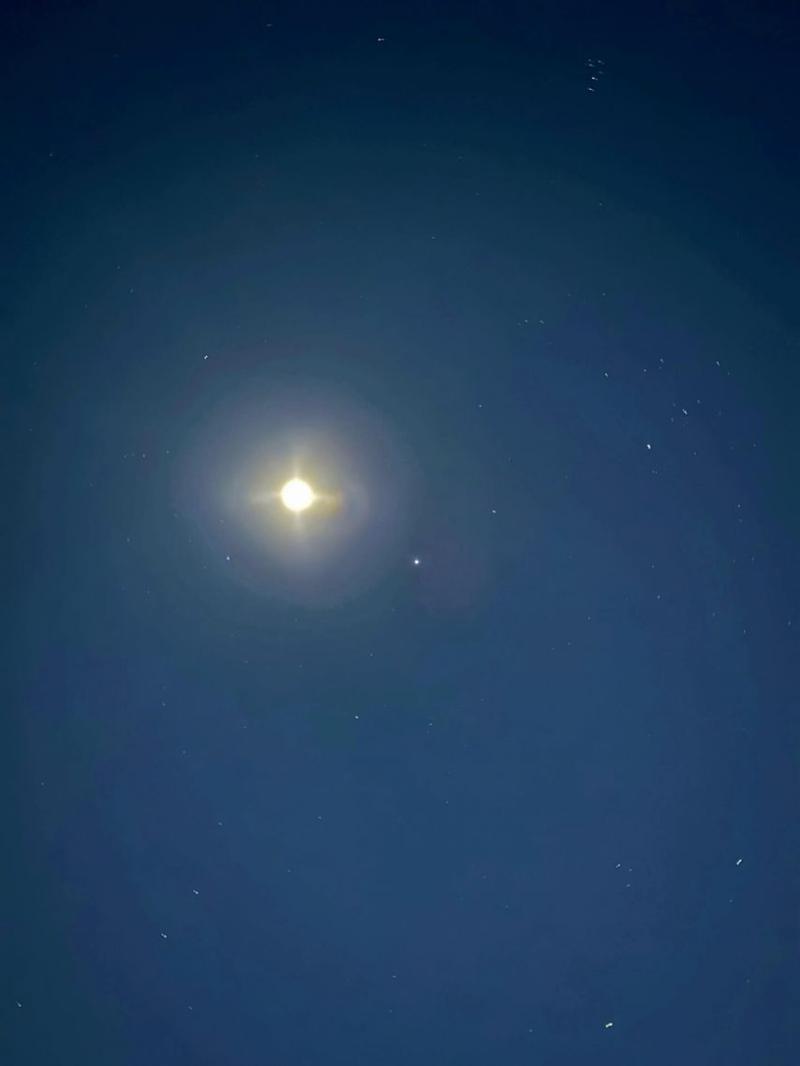 블랙핑크 지수