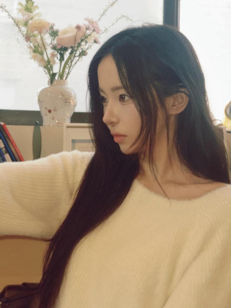 세이마이네임 슈이