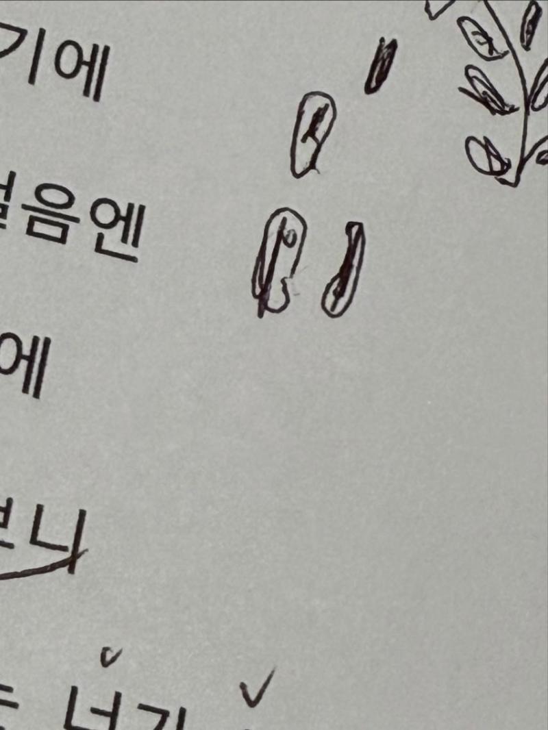레이턴시 지지원