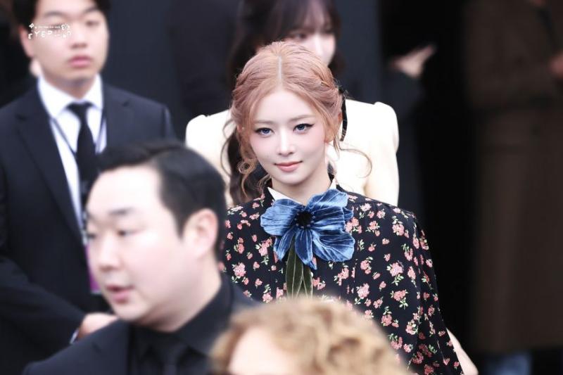 아이브 레이