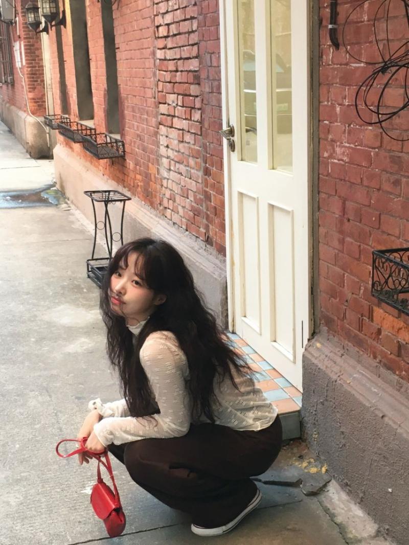 정보민