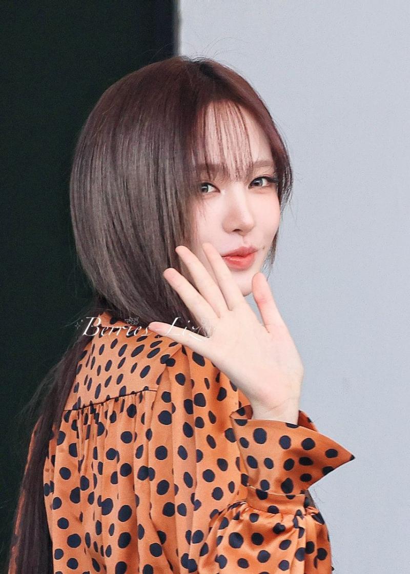 아이브 리즈
