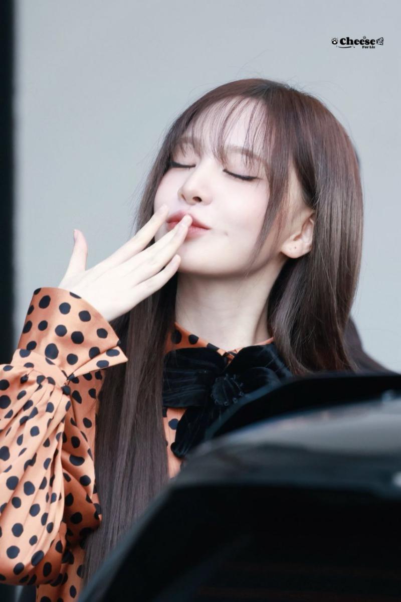 아이브 리즈