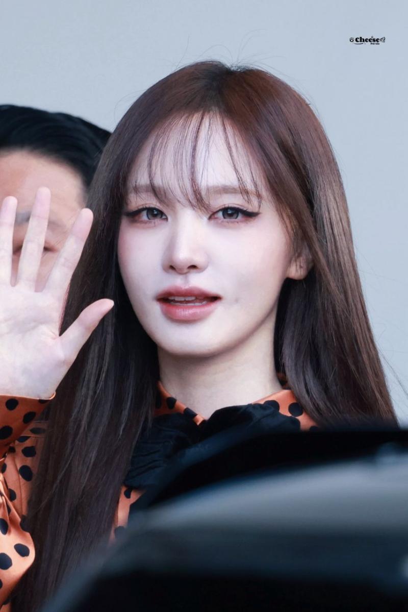 아이브 리즈