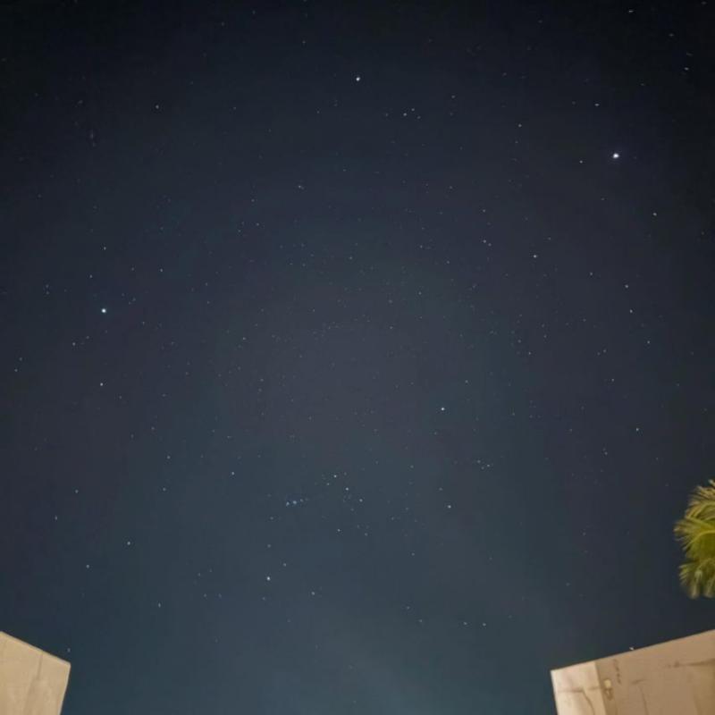 표예진 인별