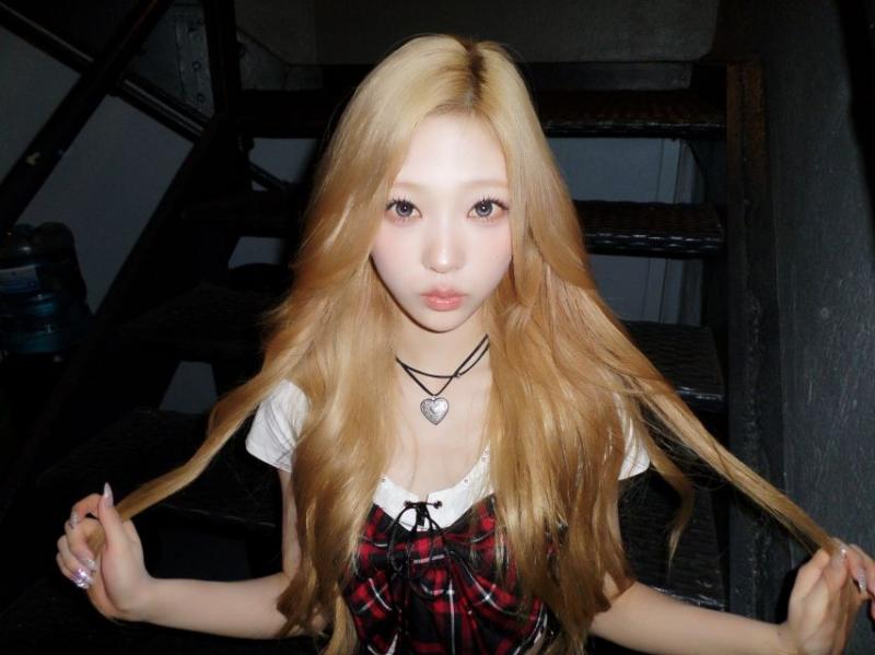 하츠투하츠 스텔라