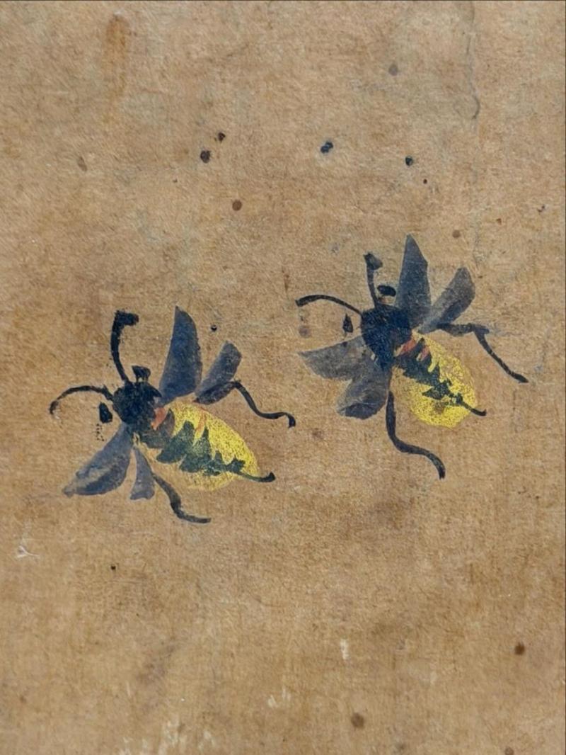 장규리