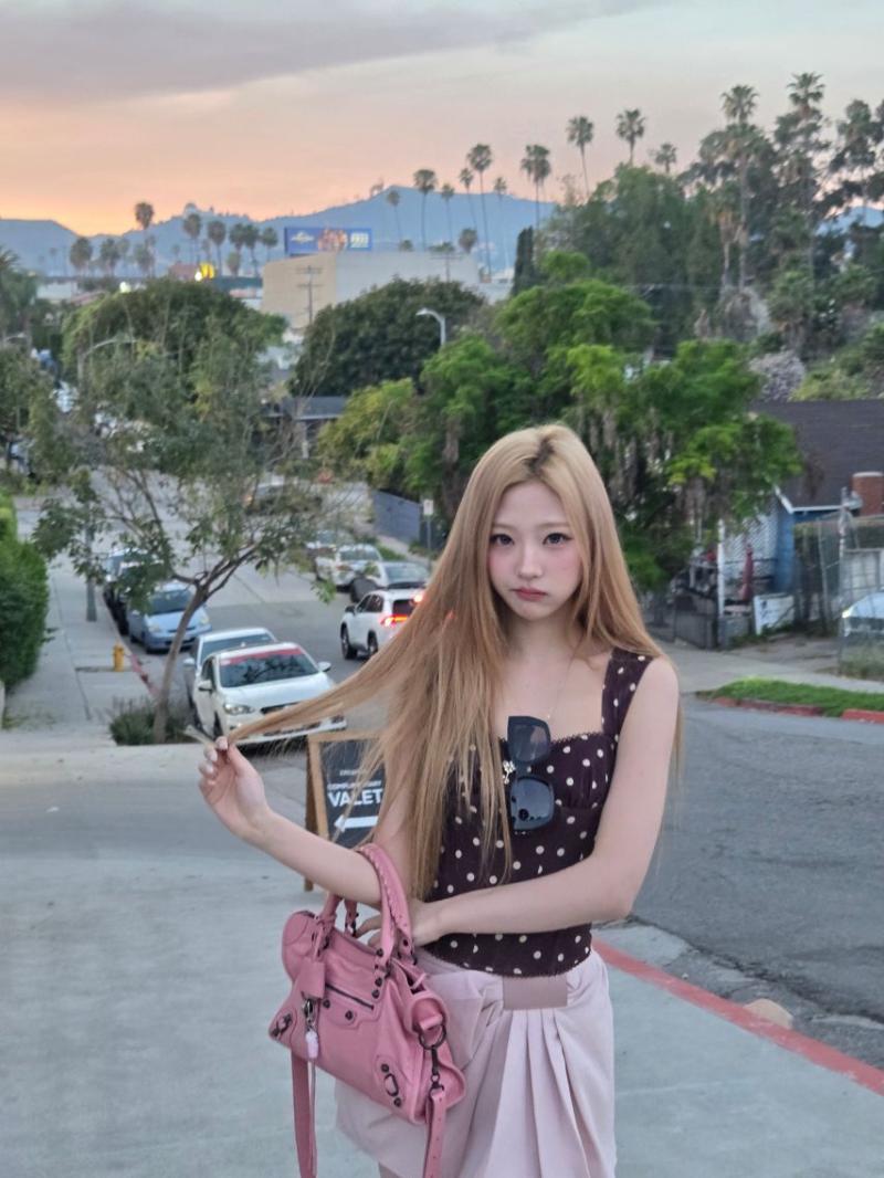 하츠투하츠 스텔라