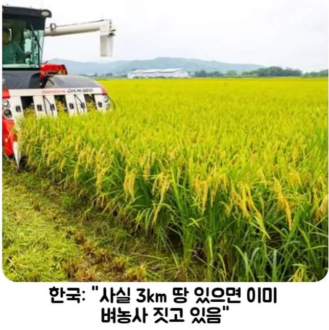 무기 스펙 및 테스트 조건 속이다 딱걸린 한국