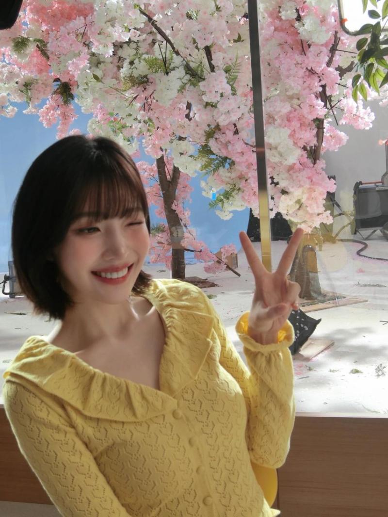 레드벨벳 조이