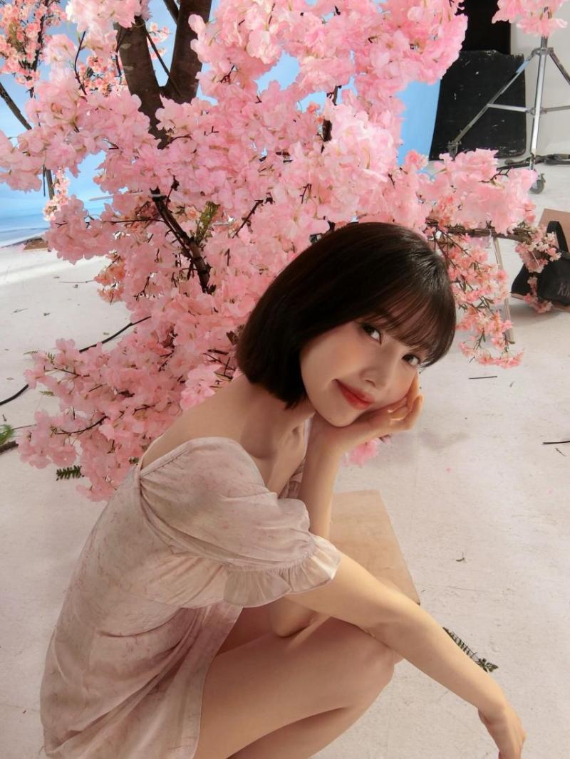레드벨벳 조이