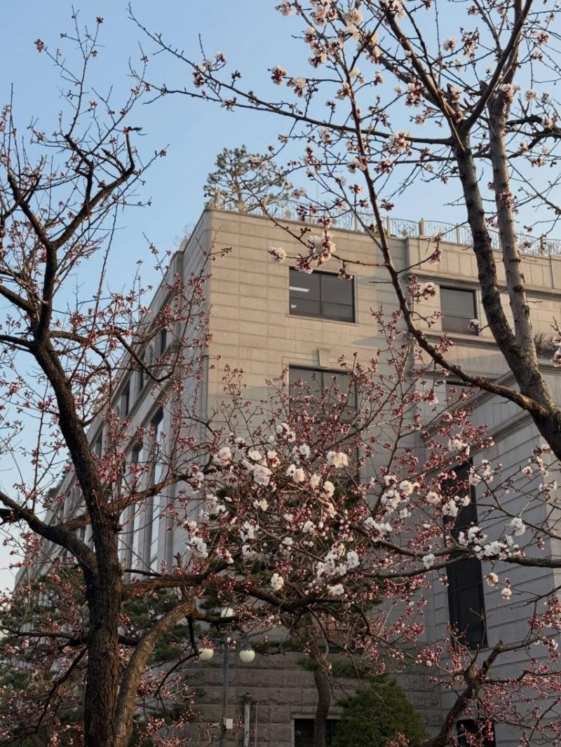 안젤리나 다닐로바