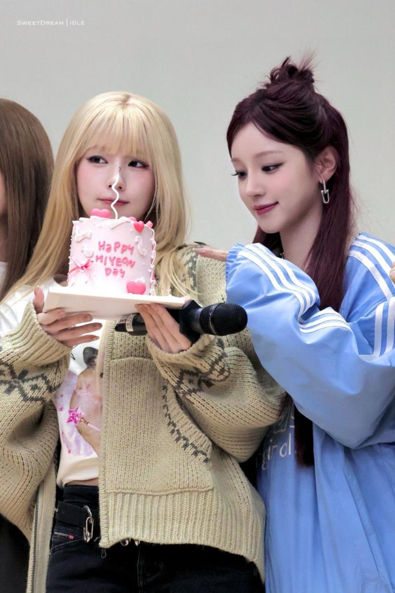 아니들 미연