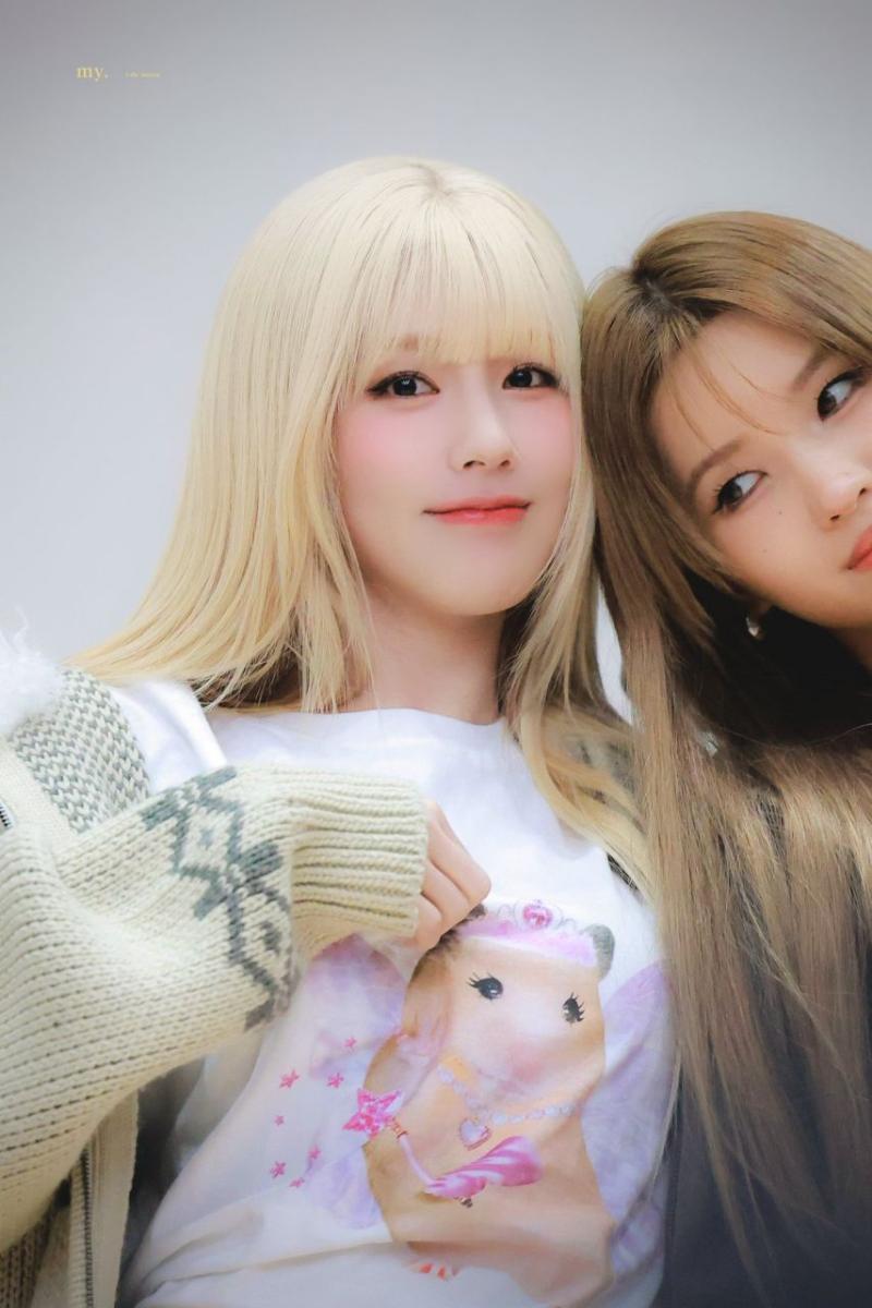 아니들 미연