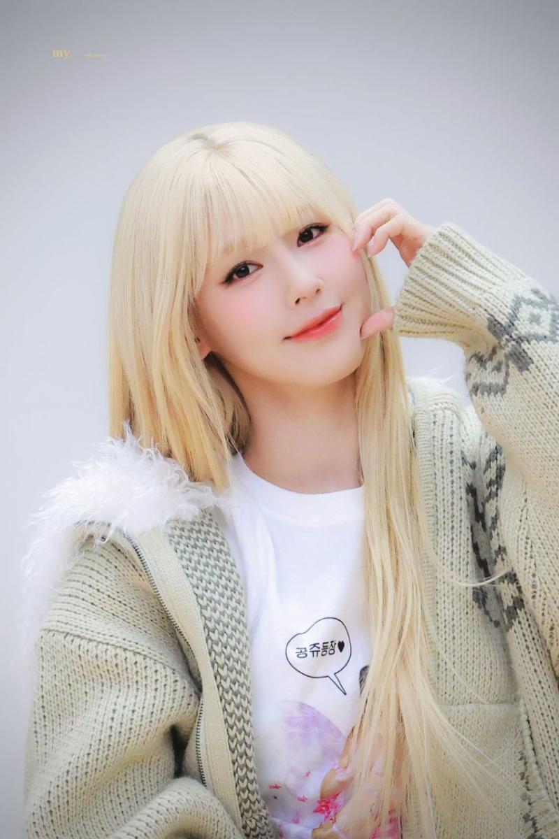아니들 미연
