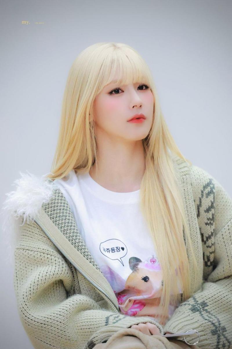 아니들 미연