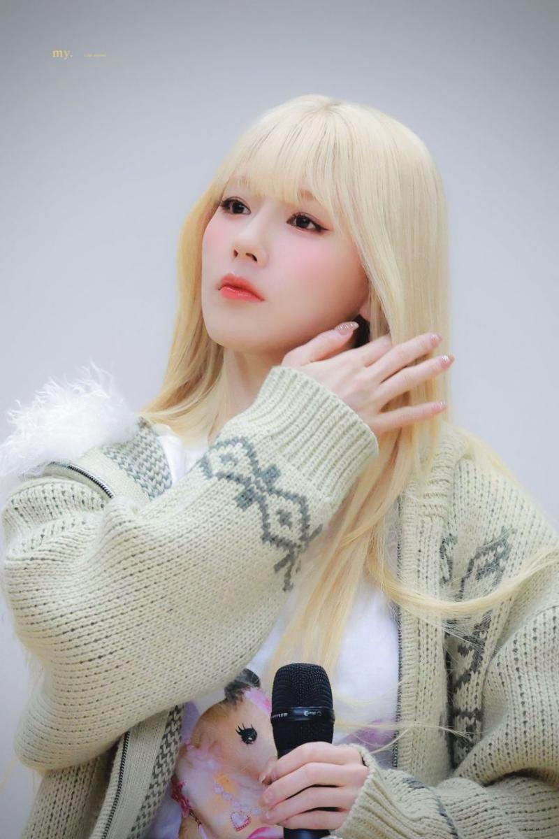 아니들 미연