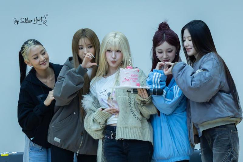 아니들 미연