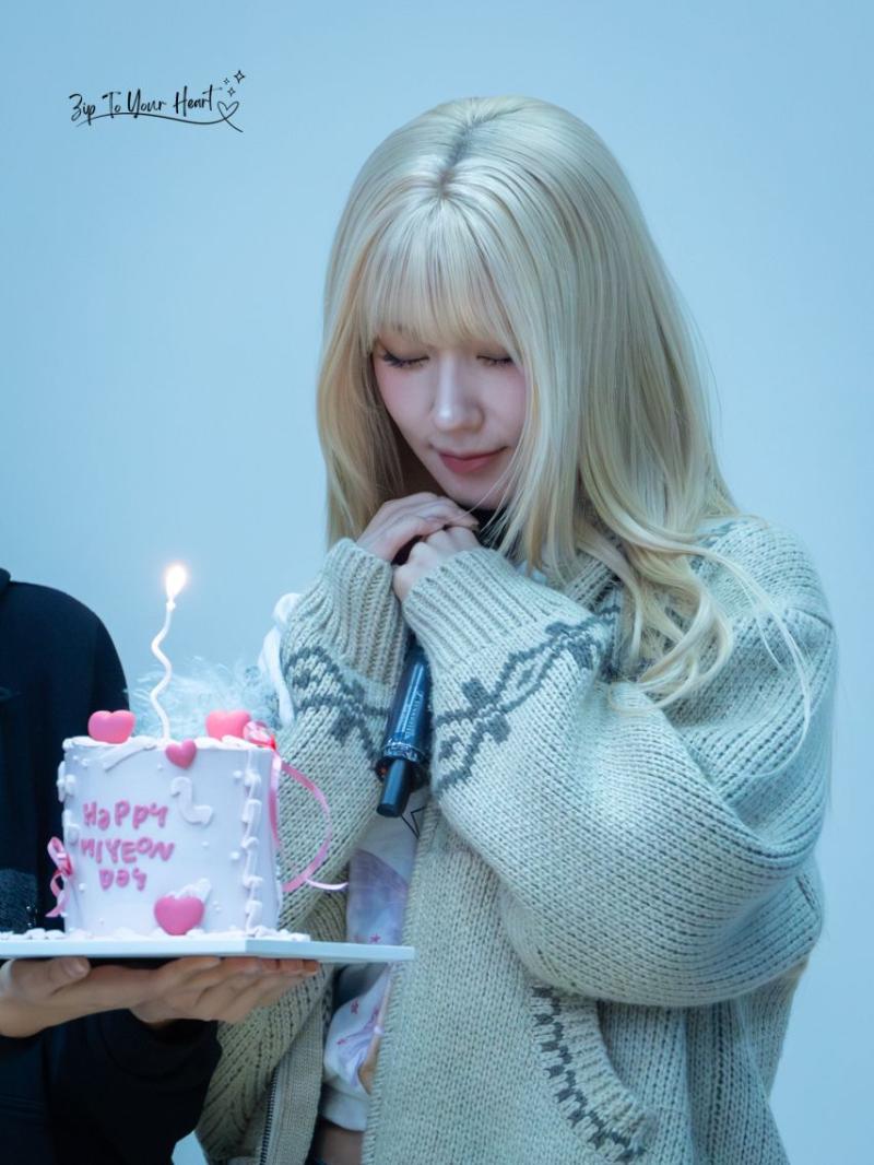 아니들 미연