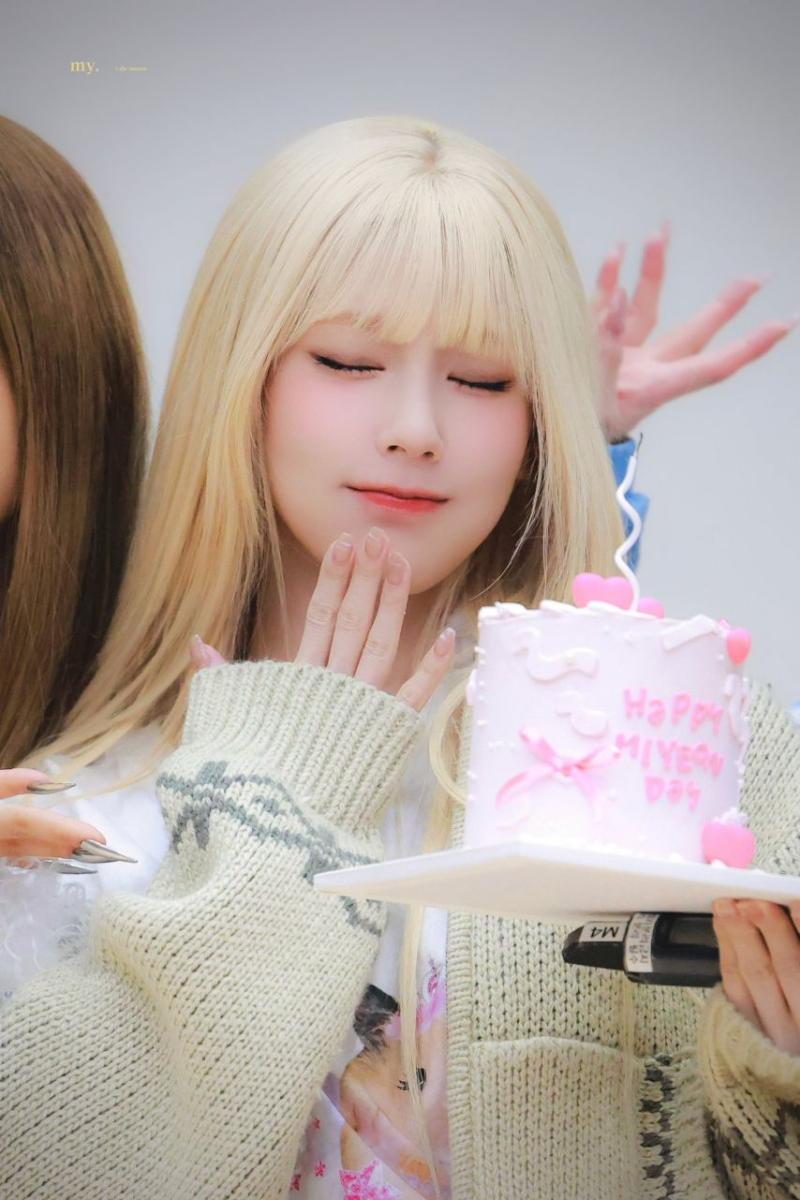 아니들 미연