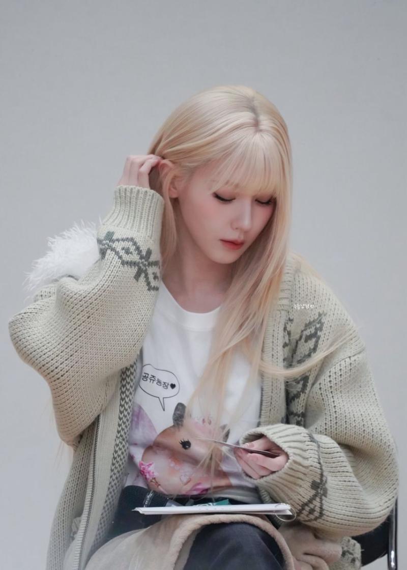 아니들 미연