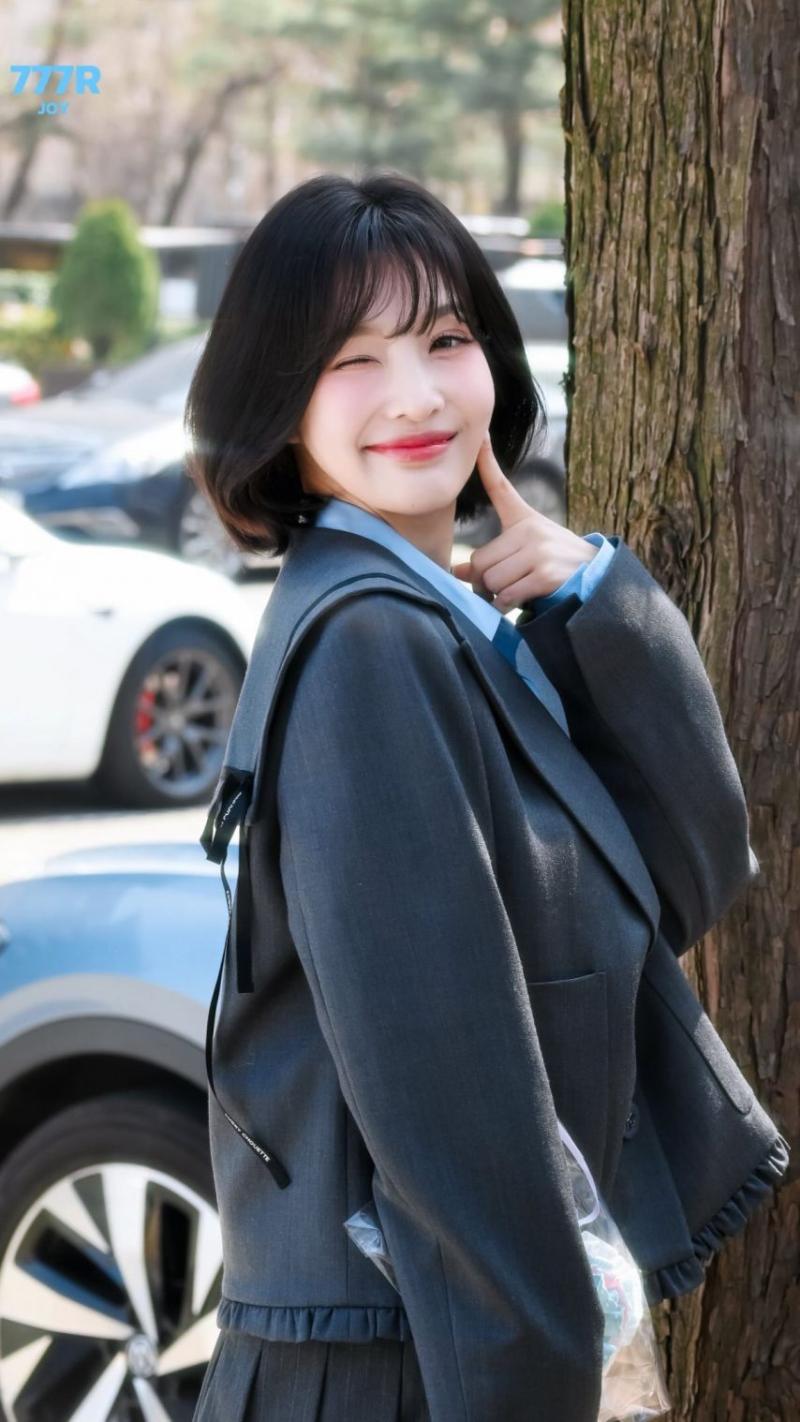 레드벨벳 조이