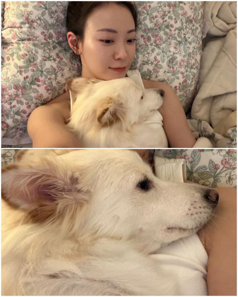 한지효