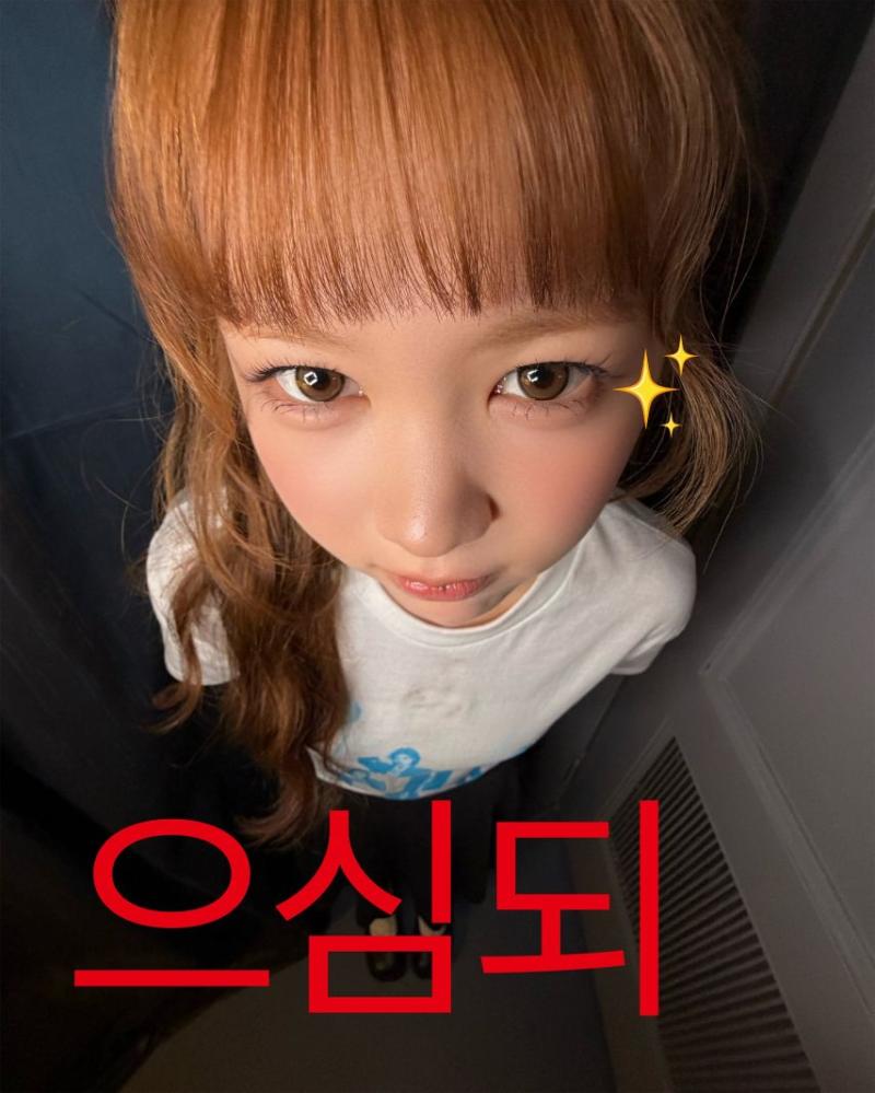하츠투하츠 만우절짤