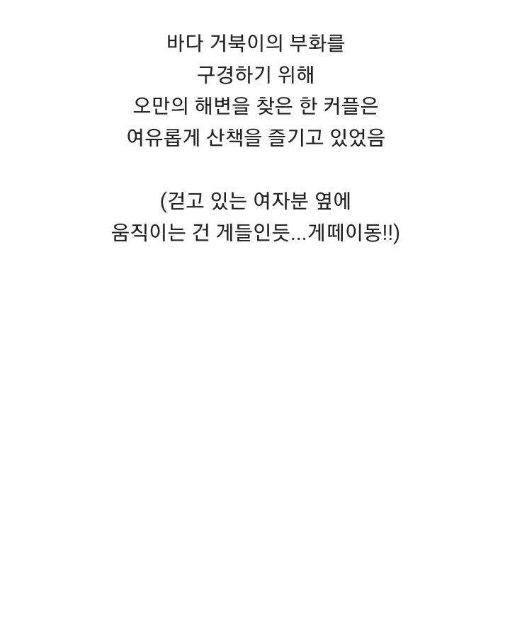 바위 뜸에 빠진 거북이 구해주는 커플