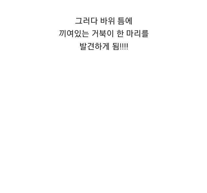 바위 뜸에 빠진 거북이 구해주는 커플