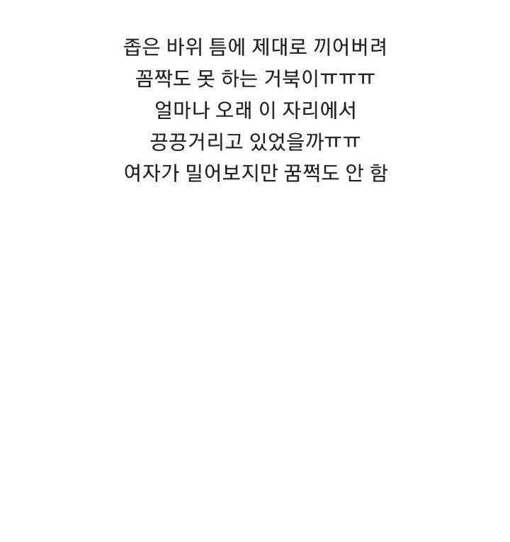 바위 뜸에 빠진 거북이 구해주는 커플