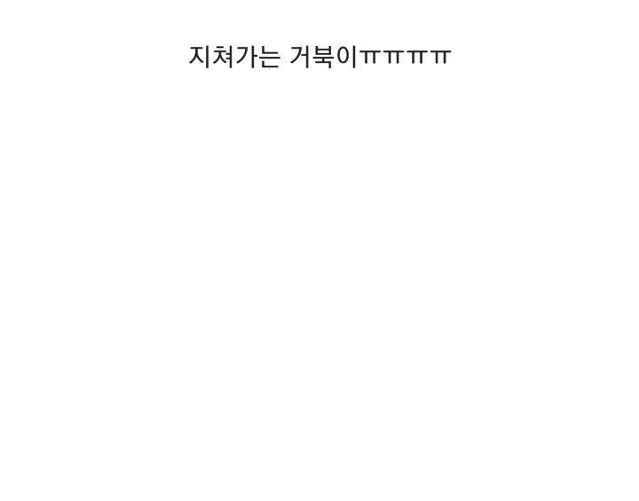 바위 뜸에 빠진 거북이 구해주는 커플