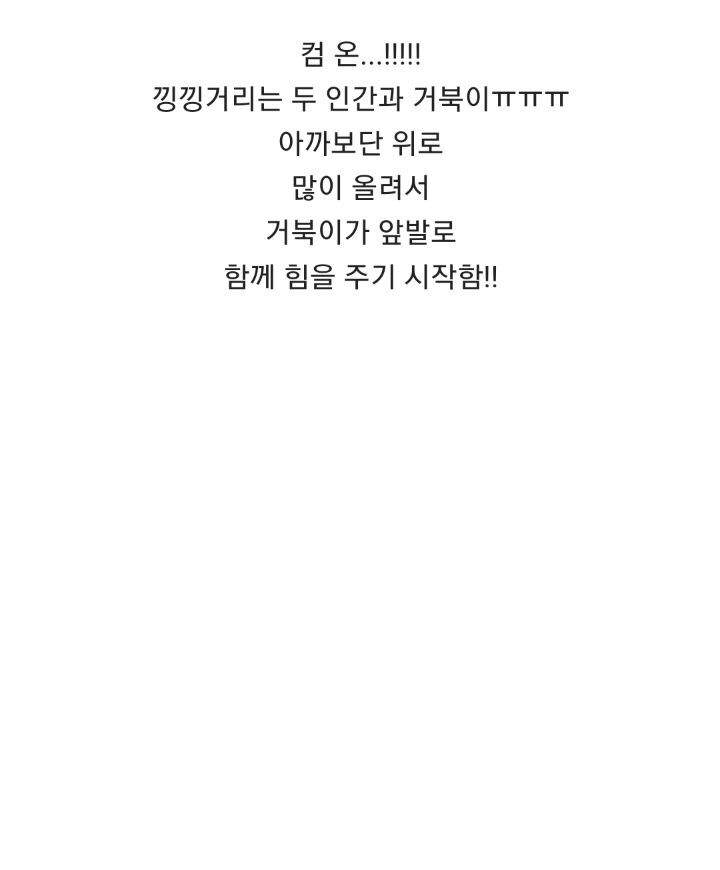바위 뜸에 빠진 거북이 구해주는 커플