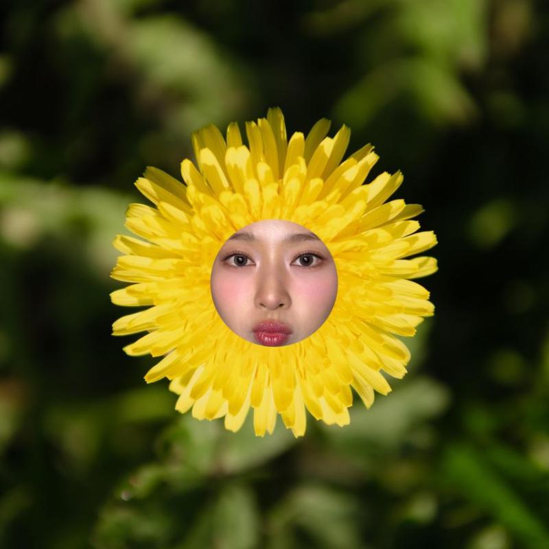 김민주