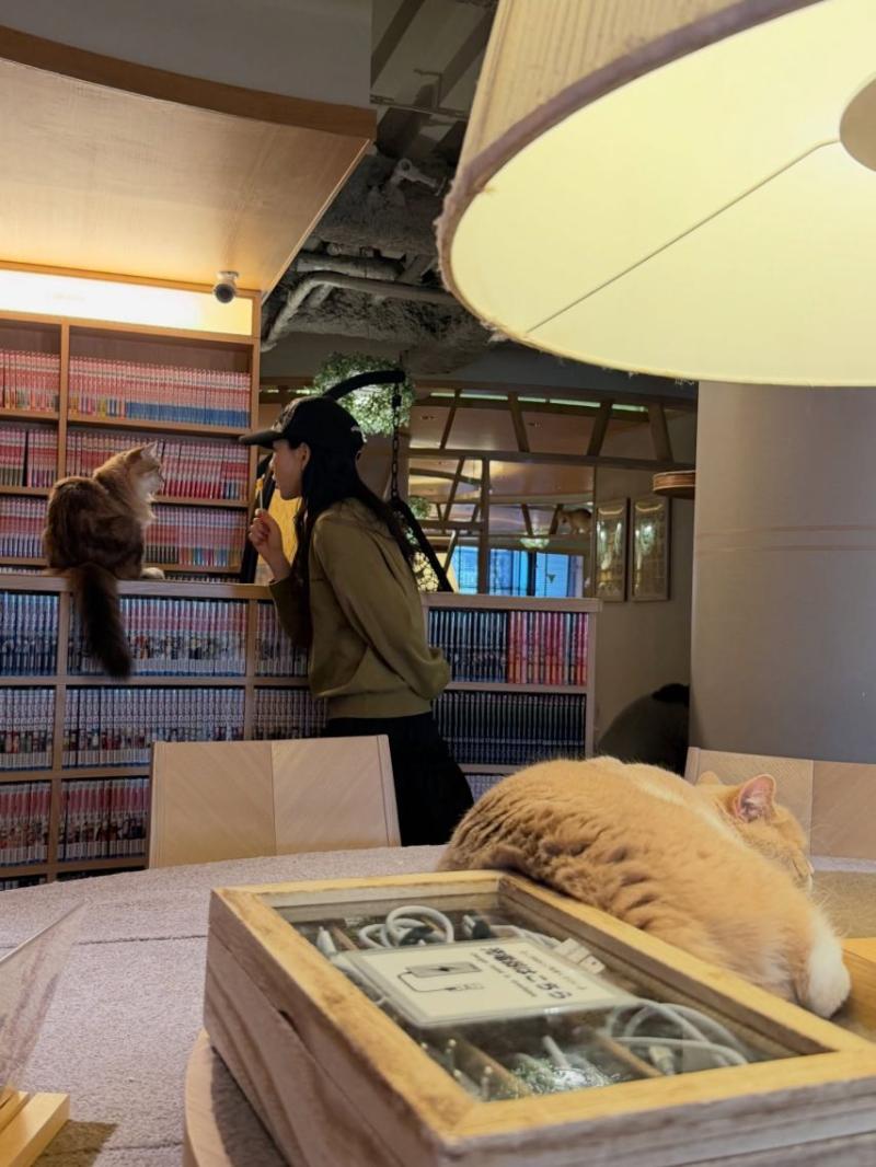 태연