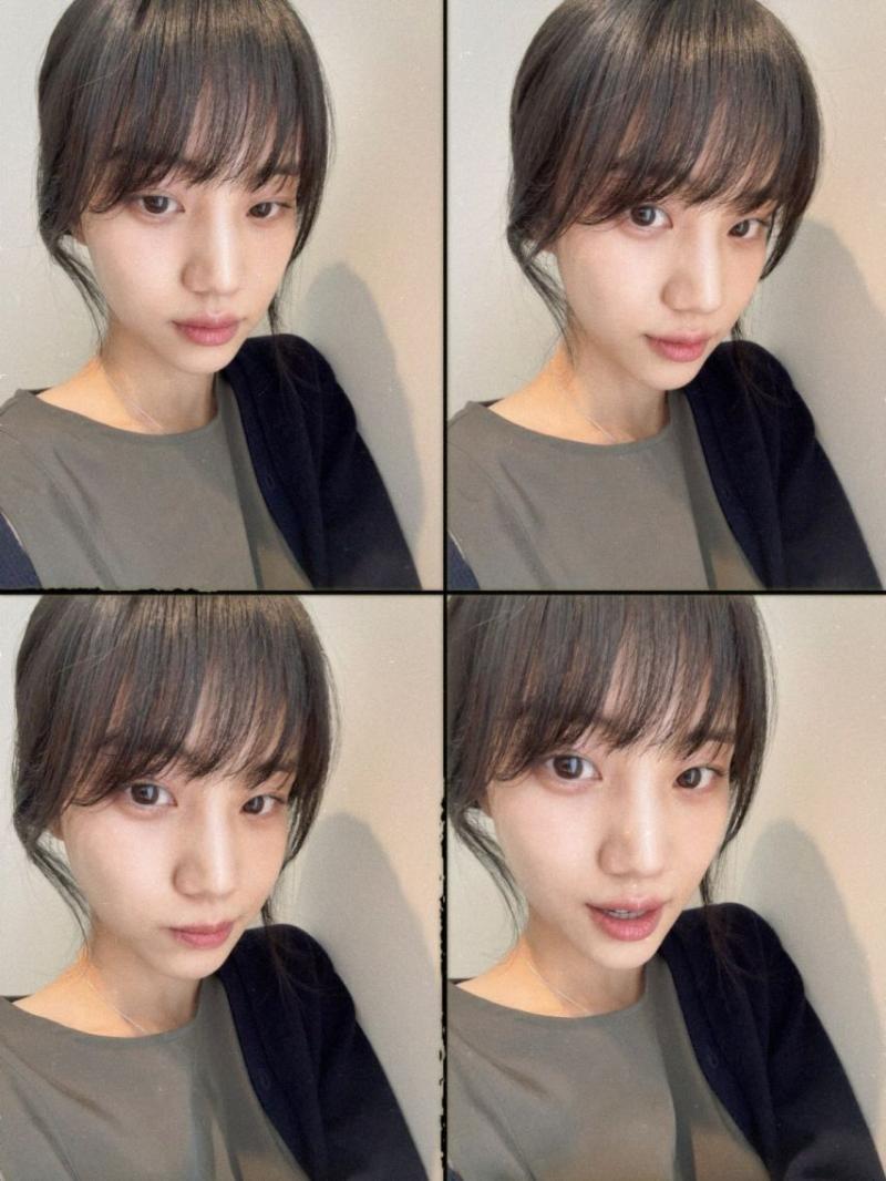 홍화연
