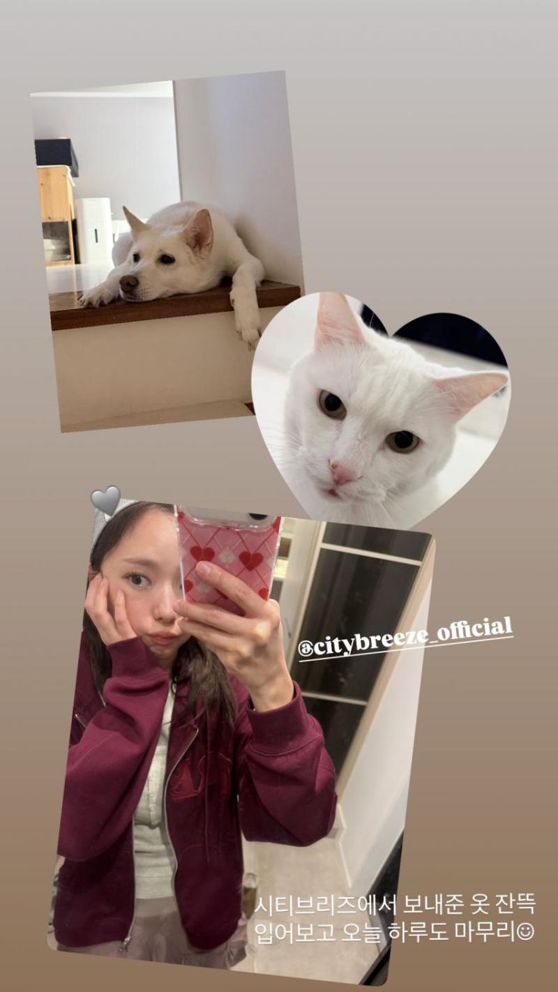 채수빈