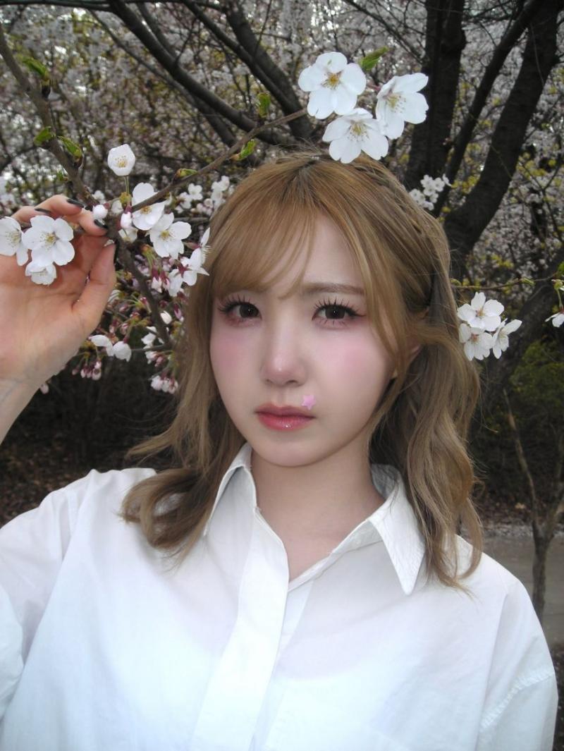 세이마이네임 히토미