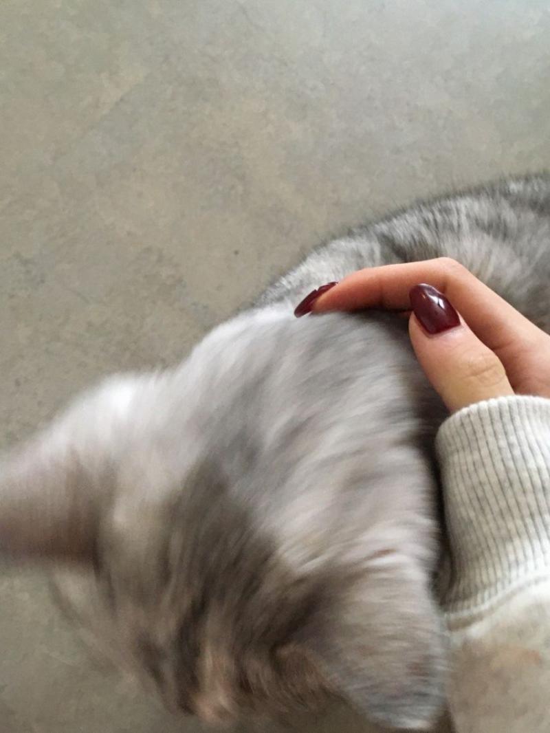 하츠투하츠 이안