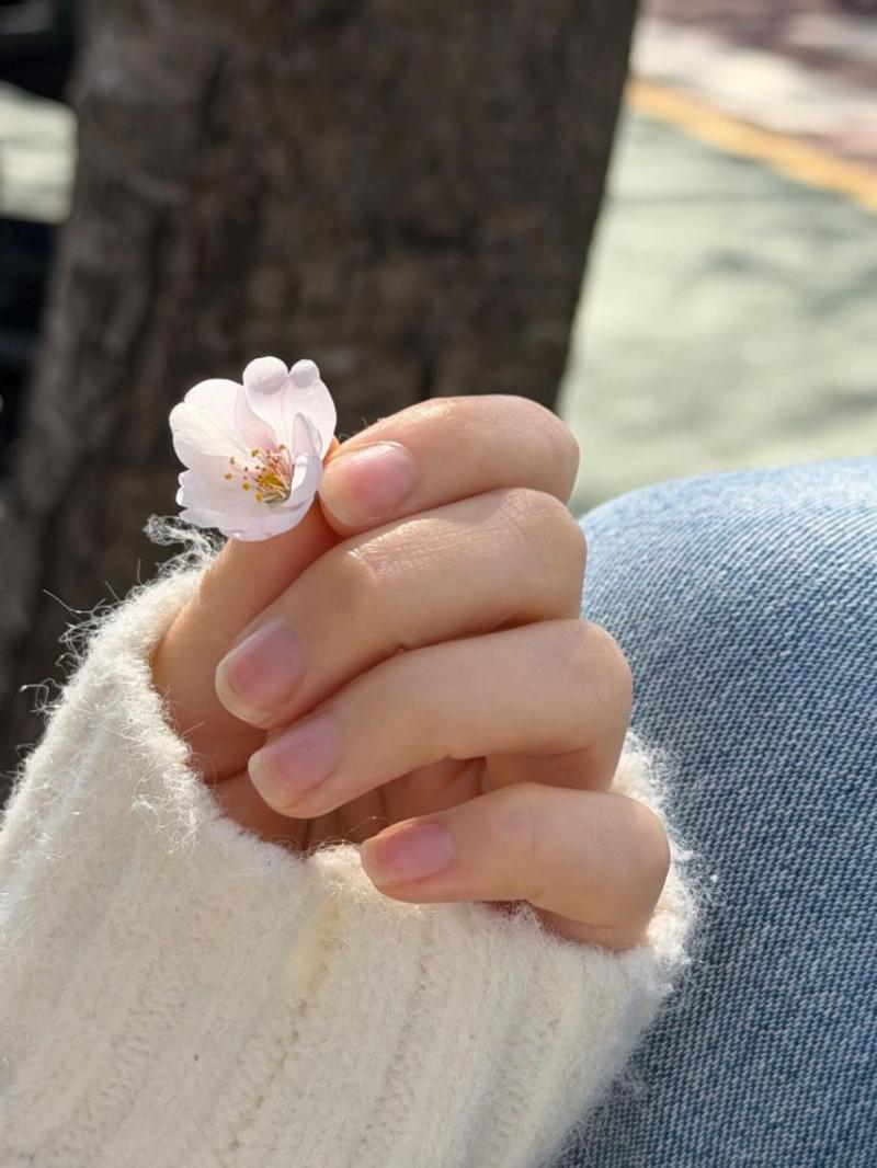 장규리