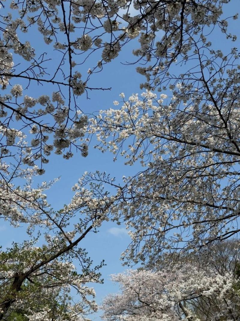 이은재 인별