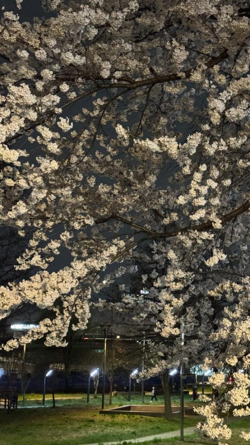 이은재 인별