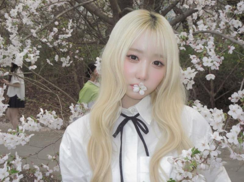 세이마이네임 메이