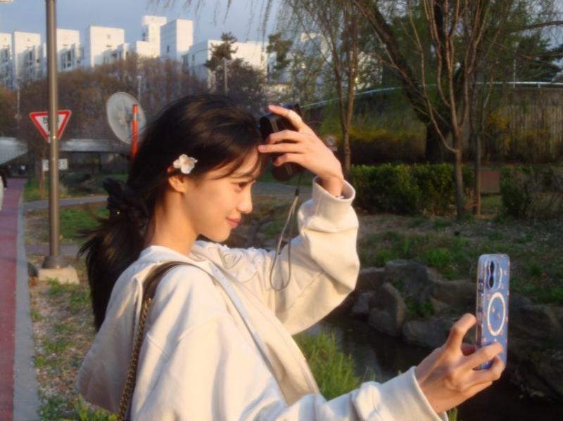 홍화연