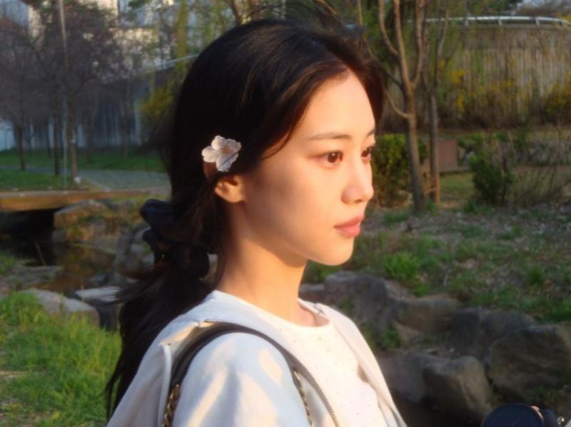 홍화연