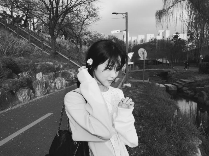 홍화연
